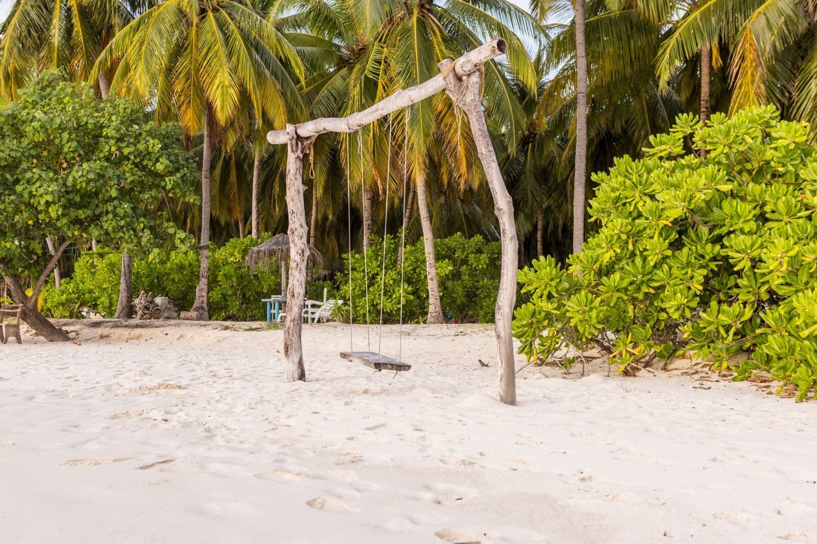 A beach with a swing set made of natural wood, surrounded by palm trees and green shrubs.