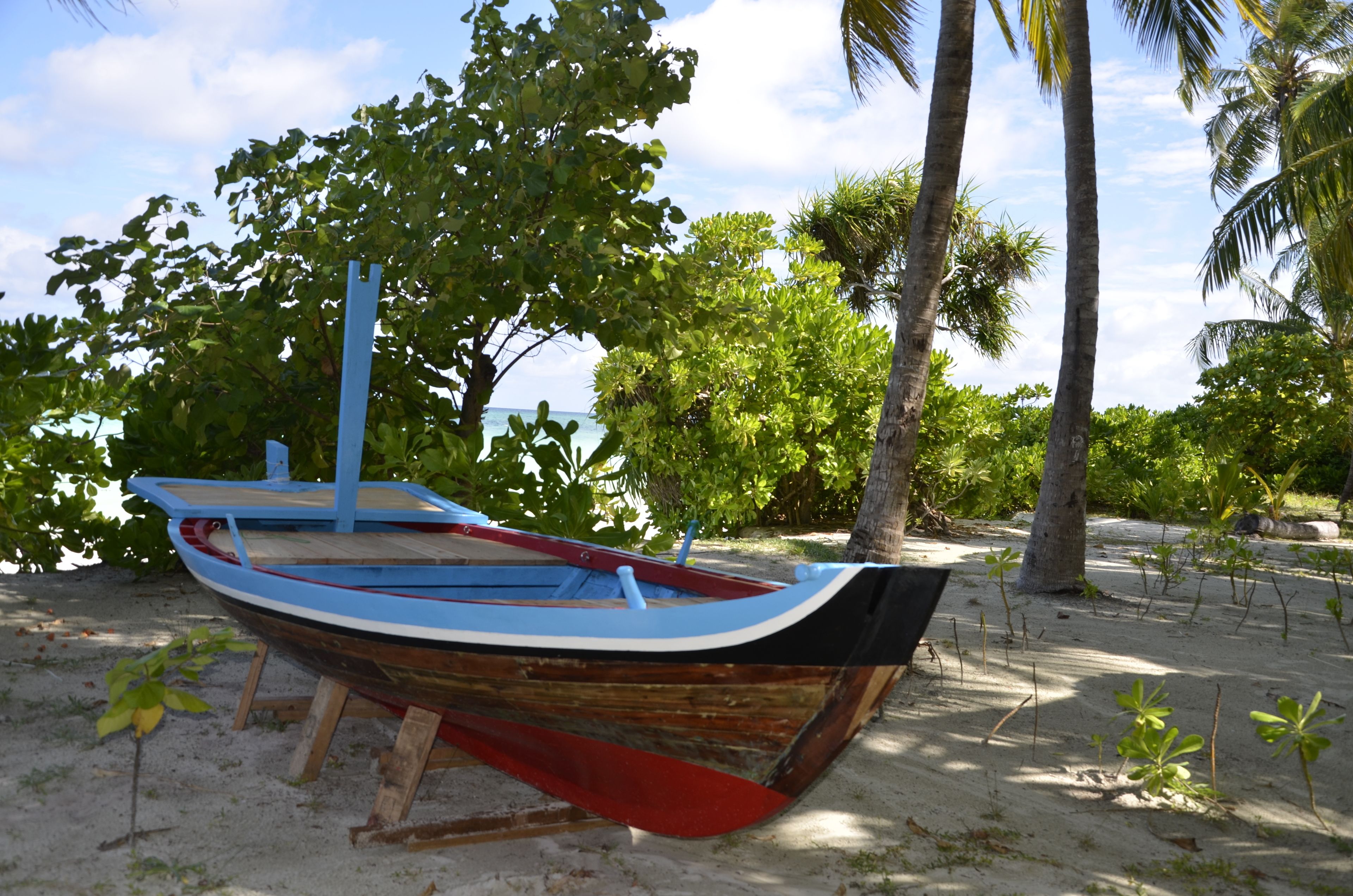 A wooden boat with a blue and red hull, propped up on wooden blocks on a sandy beach with palm trees in the background.