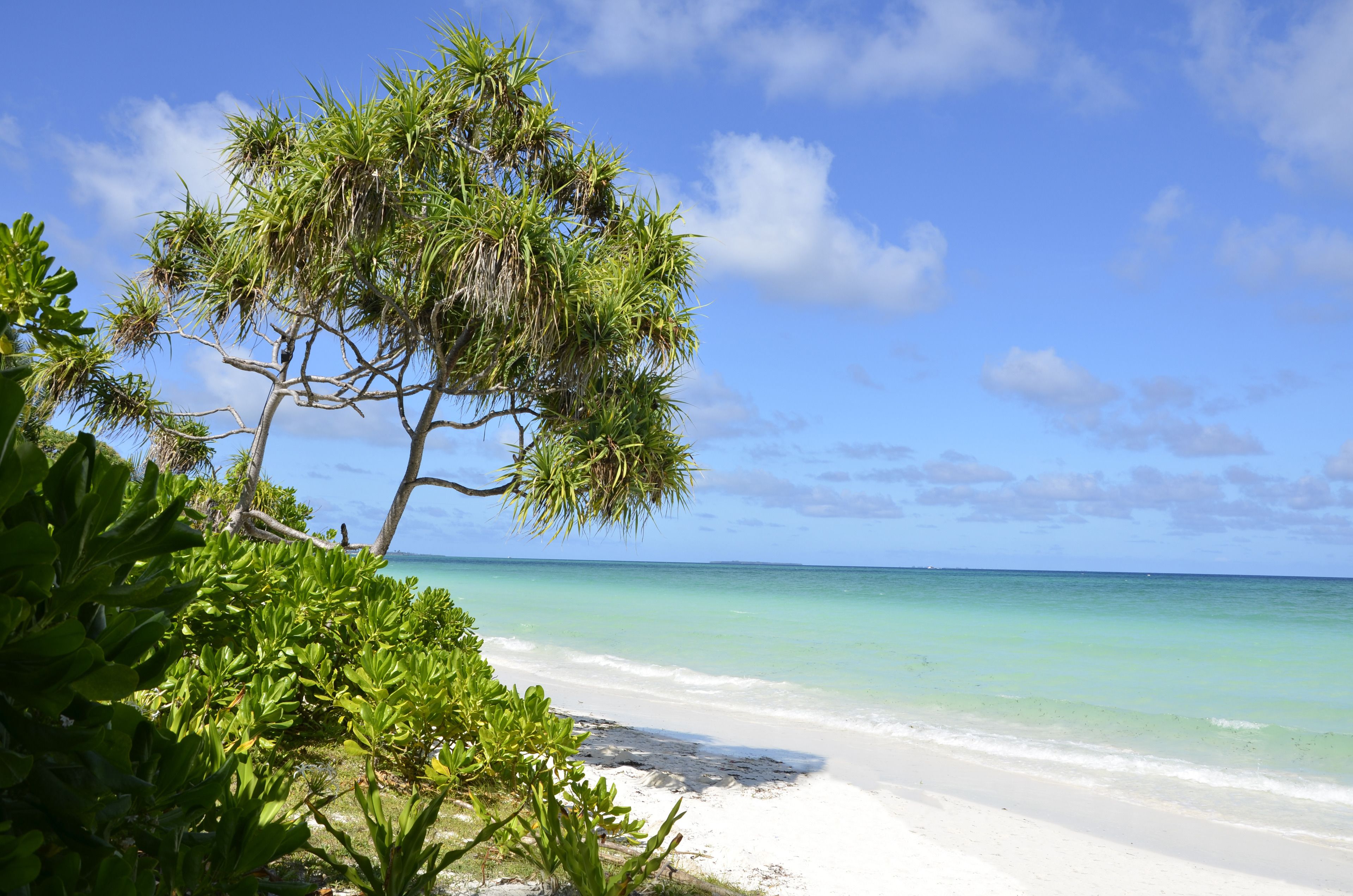 A beach with clear turquoise water, white sand, and lush green vegetation.