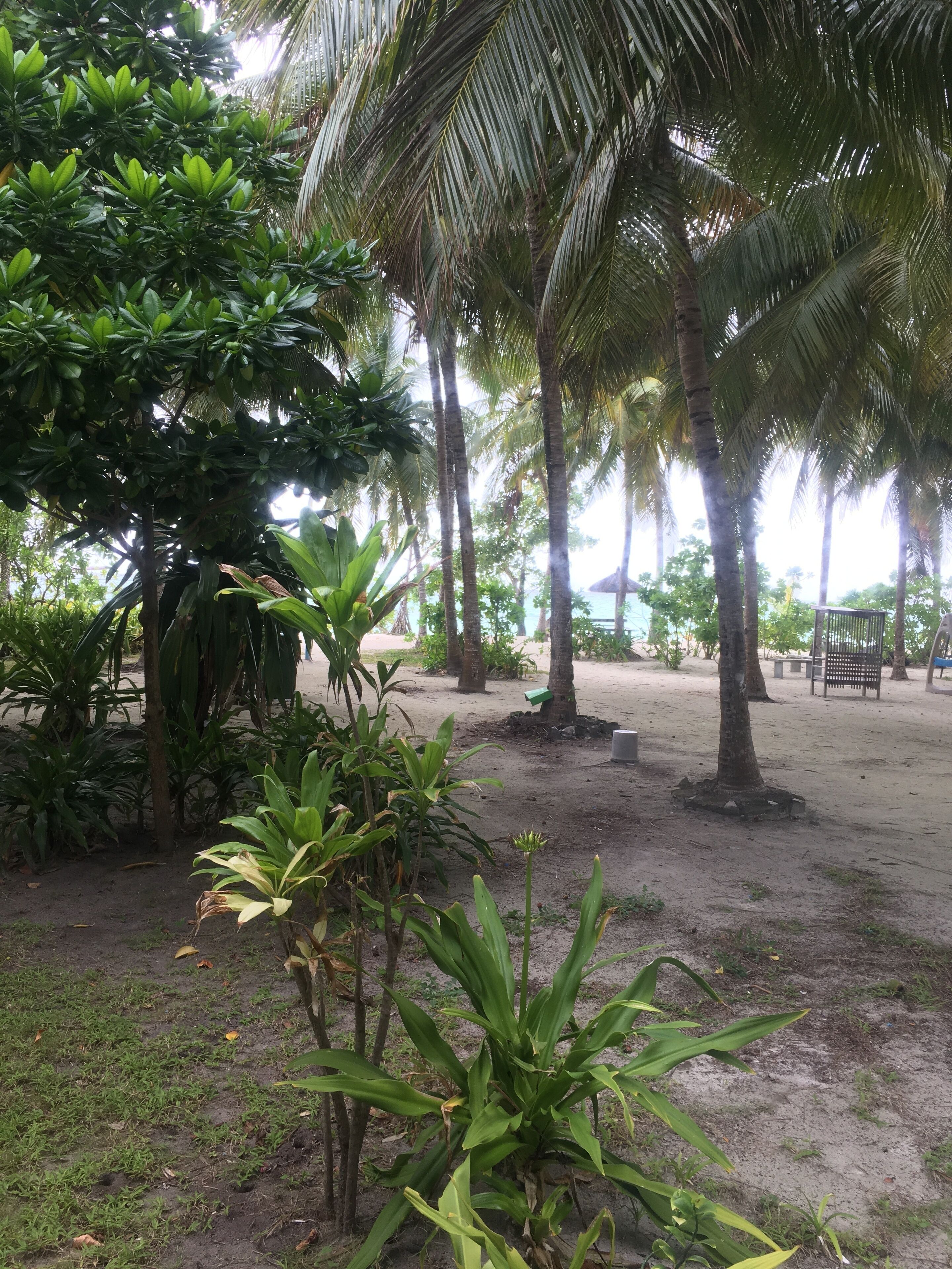 Deluxe Room, Beach View, Beachfront | Garden view