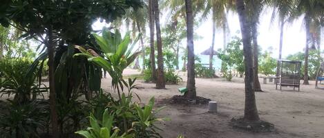 A garden area with palm trees, a bench, and a small pond.