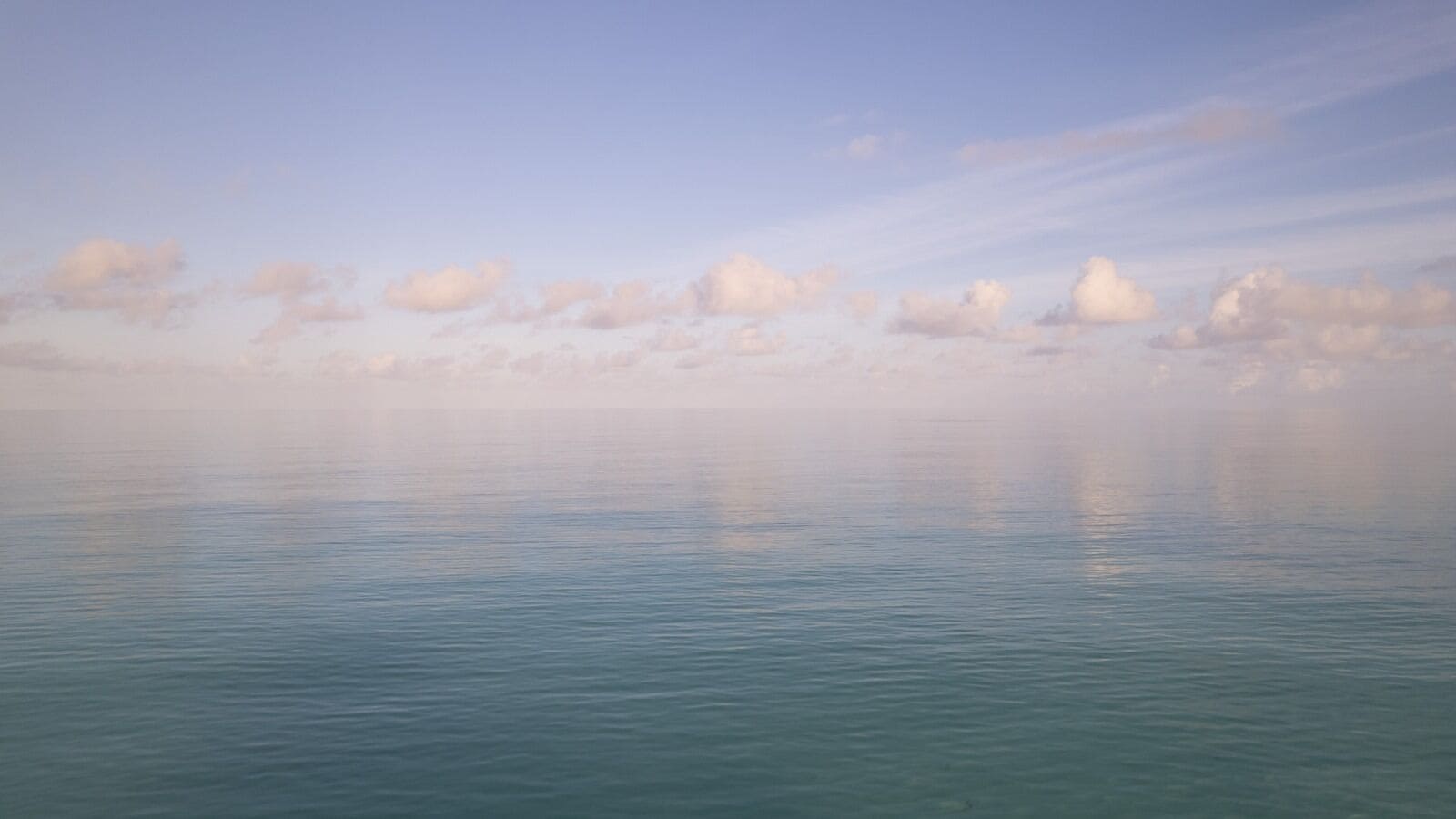 해변