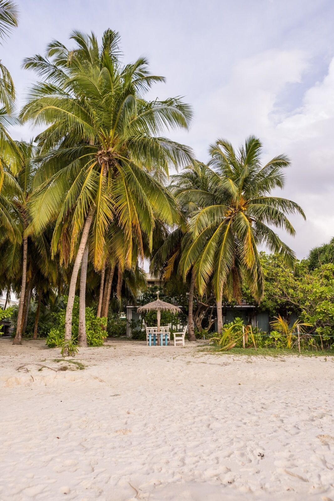 A beach with palm trees, a thatched-roof hut, and a small structure with a blue and white color scheme.