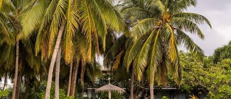 A beach with palm trees, a thatched-roof hut, and a small structure with a blue and white color scheme.