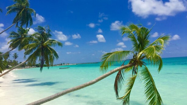 Una playa con agua turquesa cristalina, palmeras y un cielo azul despejado.