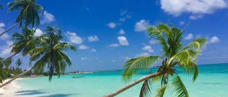 Plage privée, sable blanc, chaises longues, serviettes de plage