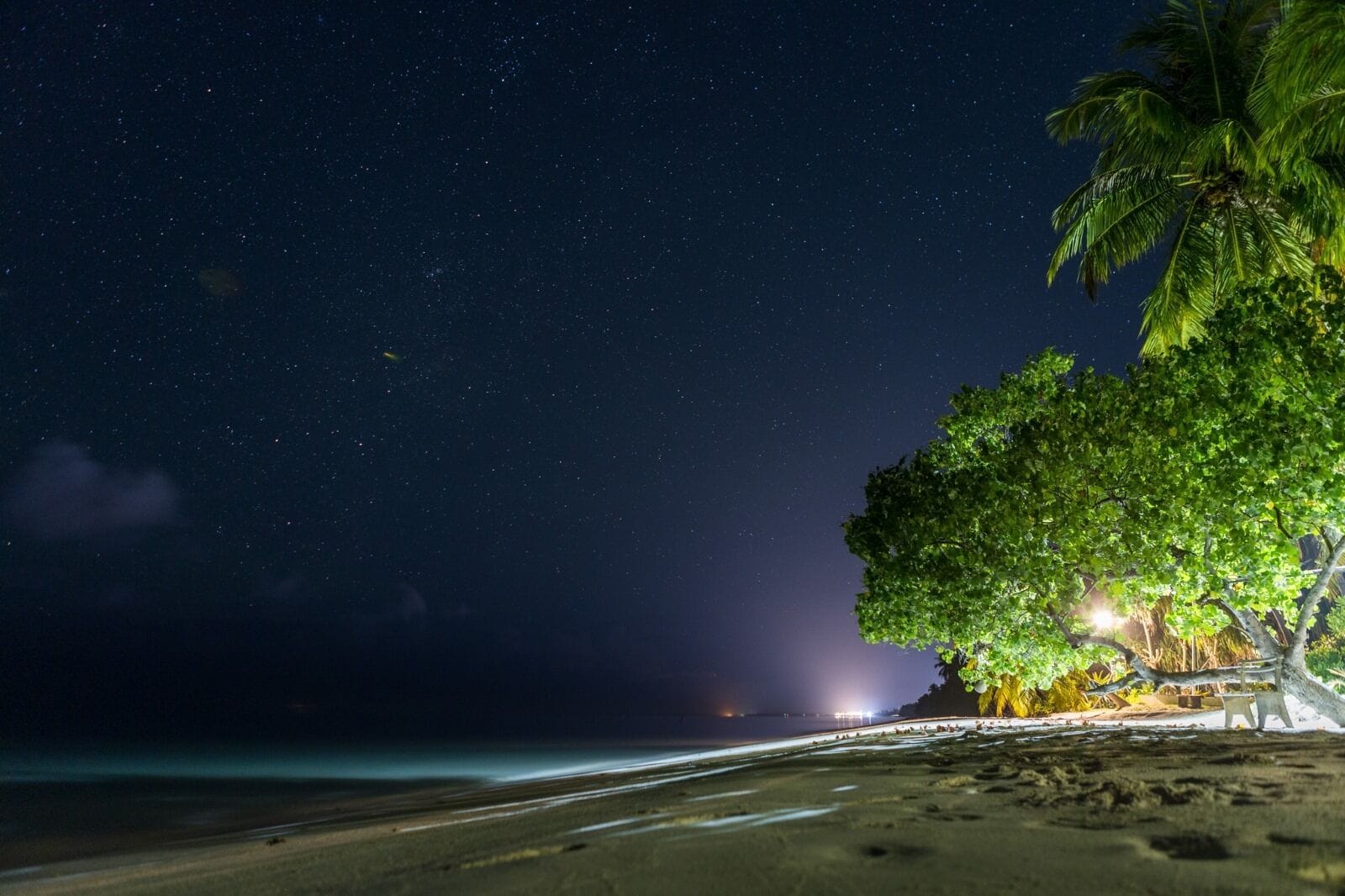 A beach at night with a starry sky, a palm tree, and distant lights.