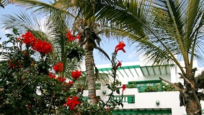 A white building with green accents and a palm tree in the foreground. - Apartamentos Nazaret (Teguise)