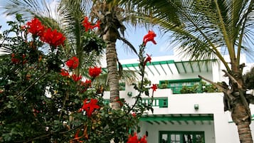 Jardines del alojamiento