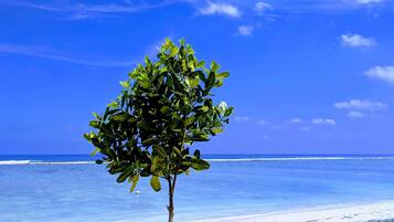 On the beach, scuba diving, rowing