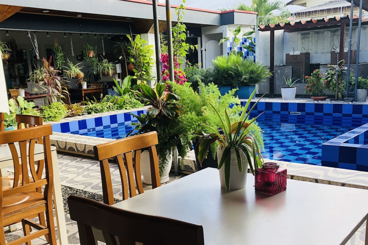 Un área junto a la piscina con una pileta revestida, sillas de madera y plantas en macetas.