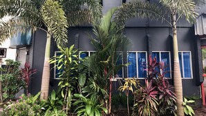 Un edificio moderno con una facciata scura, numerose finestre e rigogliosa vegetazione tropicale nei dintorni.