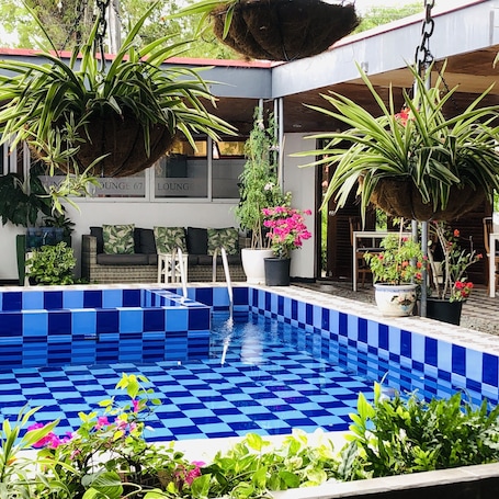 Una piscina al aire libre, sillones reclinables de piscina