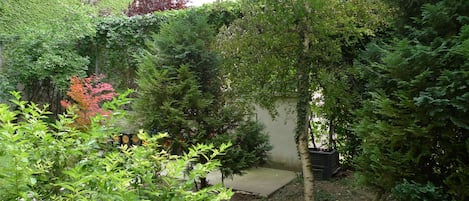 Pemandangan dari properti