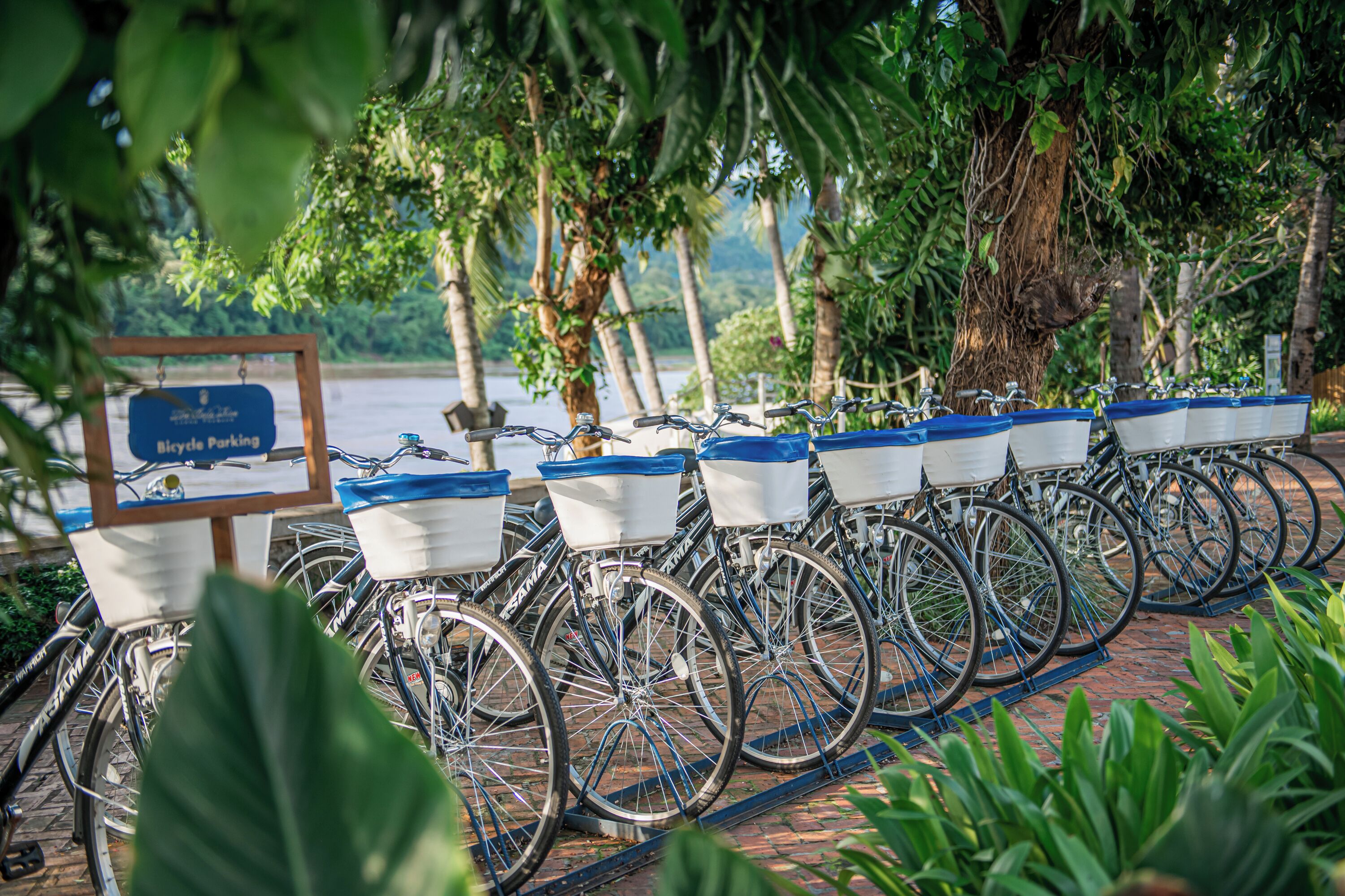 A row of bicycles with baskets, parked on a brick path with a sign indicating bicycle parking.