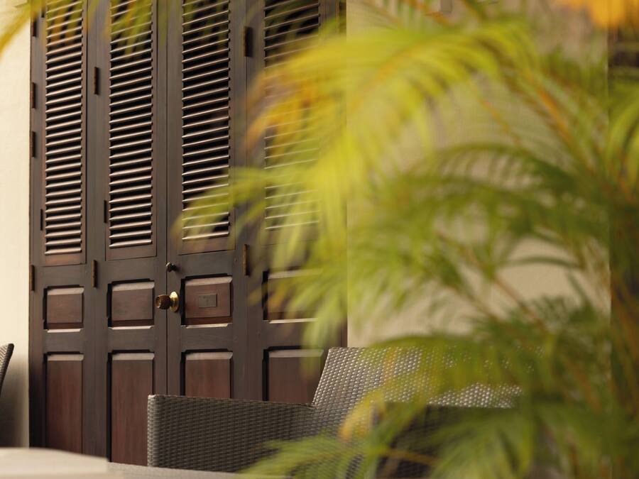A room with a dark wooden door, a wicker chair, and a potted plant.