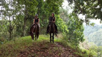 Dos personas a caballo en una zona boscosa con follaje denso y un paisaje montañoso al fondo.