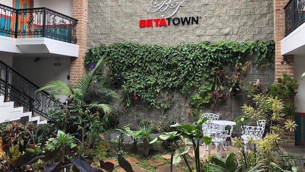 Un patio con muro de piedra, follaje y mobiliario para exteriores.
