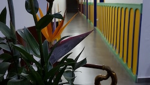 Un pasillo con una planta en primer plano, una silla y una puerta de diseño a rayas.
