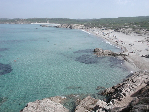 Nära stranden