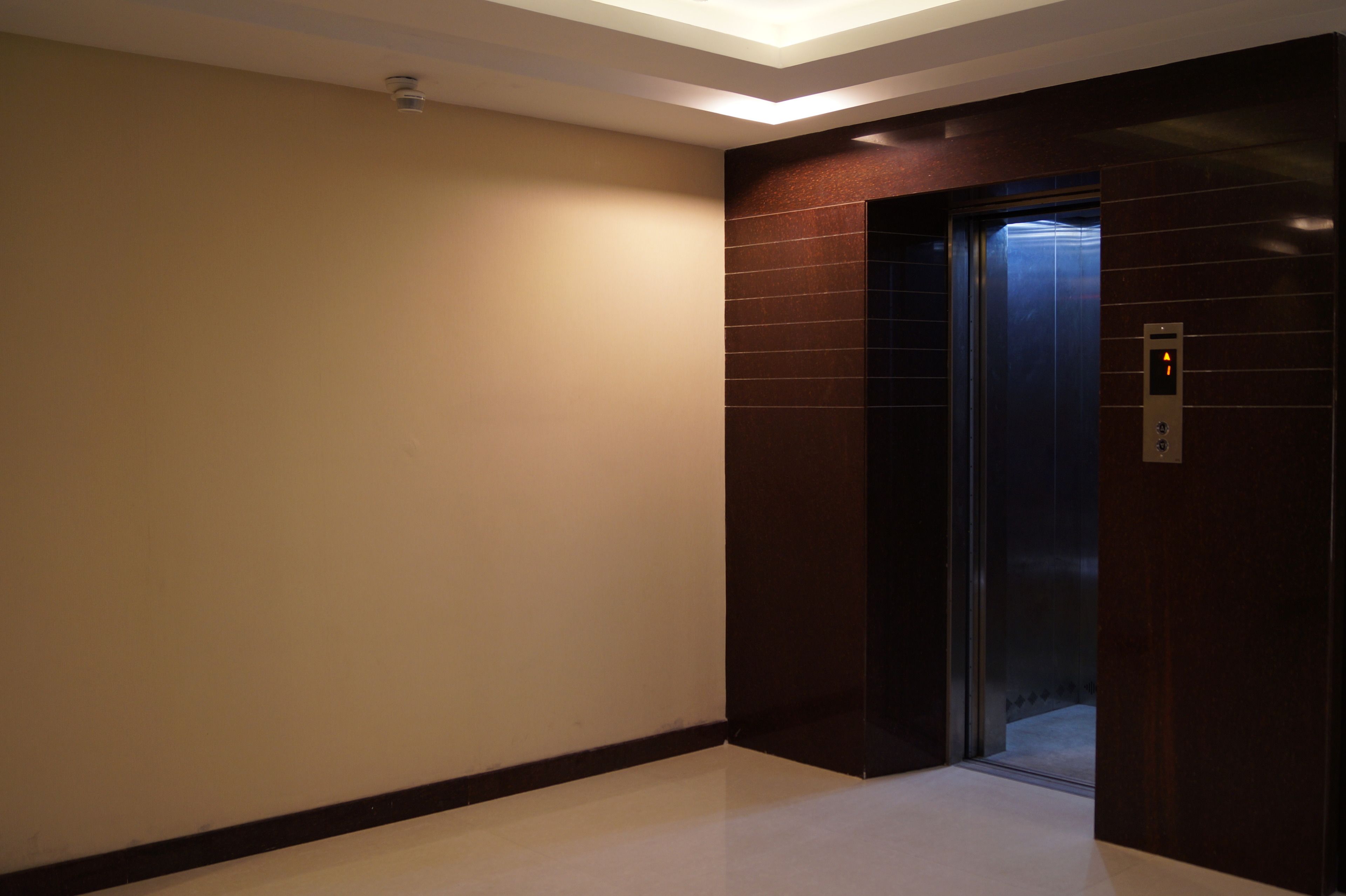 A hallway with a wall-mounted elevator and a ceiling light fixture.