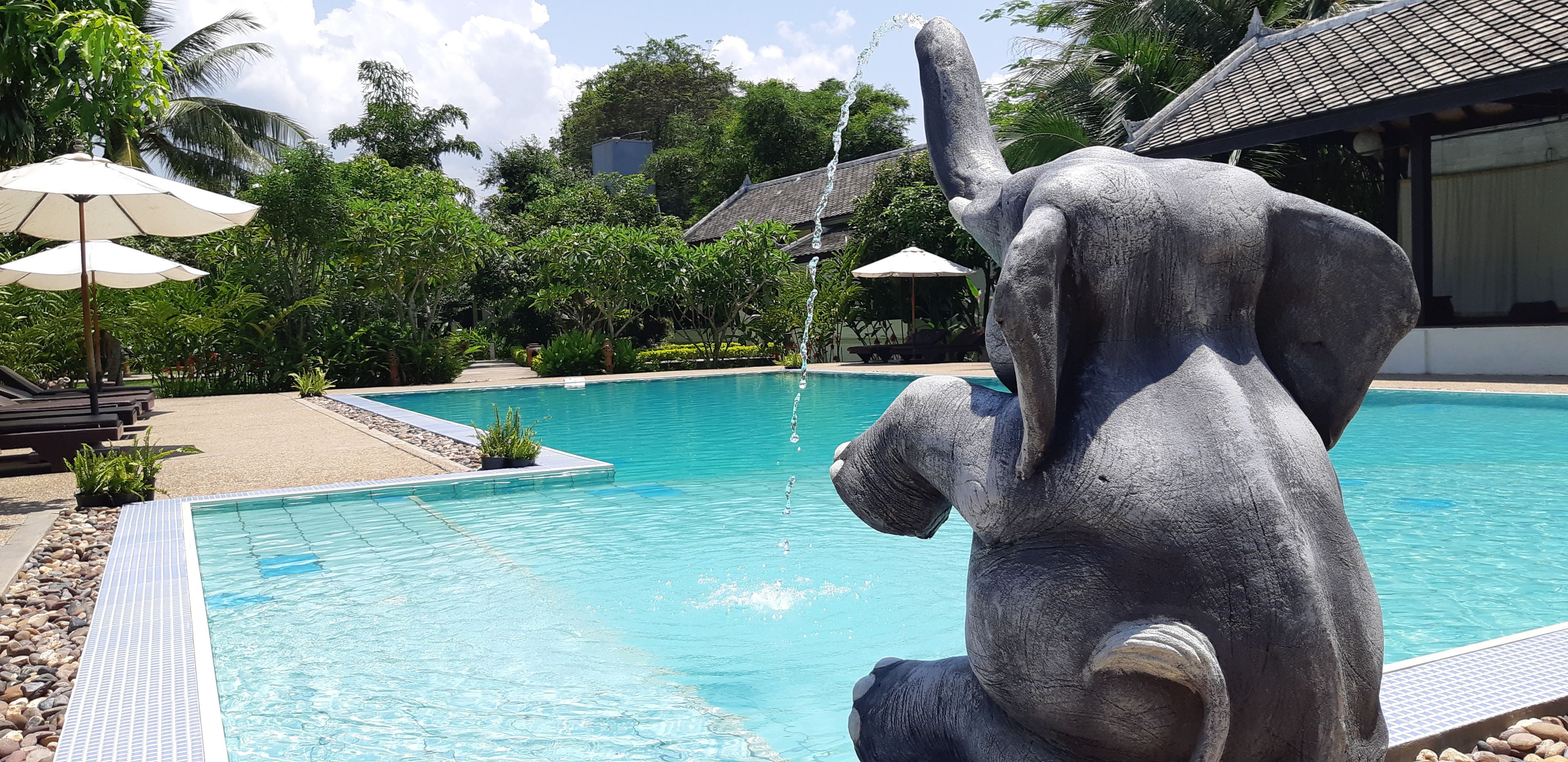 Outdoor pool, pool umbrellas, pool loungers