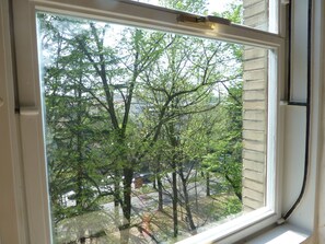 Vista desde la habitación