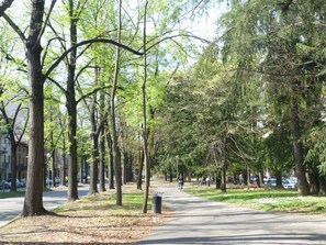 Um caminho arborizado em um parque, com bancos e um contentor de lixo.