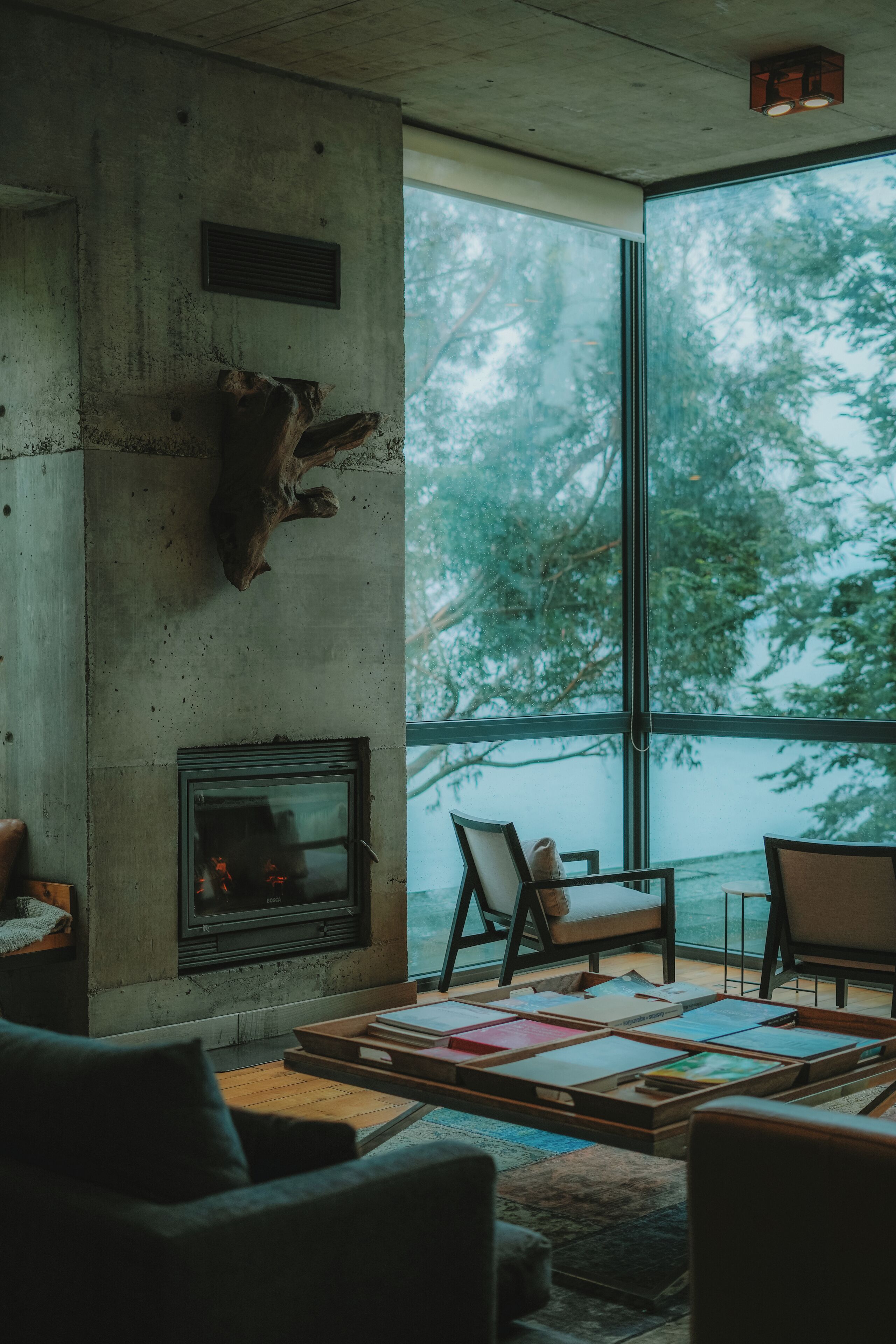 A modern living room with a fireplace, large windows, and a view of trees.