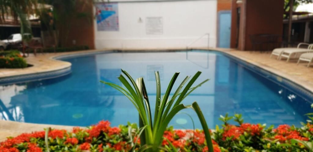 Une piscine à l’eau d’un bleu limpide, entourée d’un petit muret et agrémentée d’un parterre de fleurs rouges.