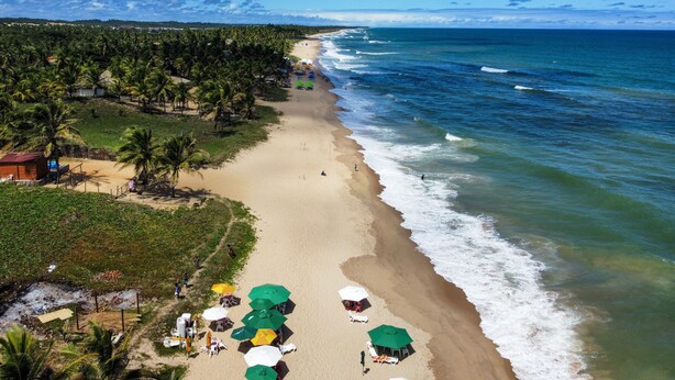 A beach with palm trees, a sandy shore, and umbrellas. - Imbassaí Apartments (Mata de São João)