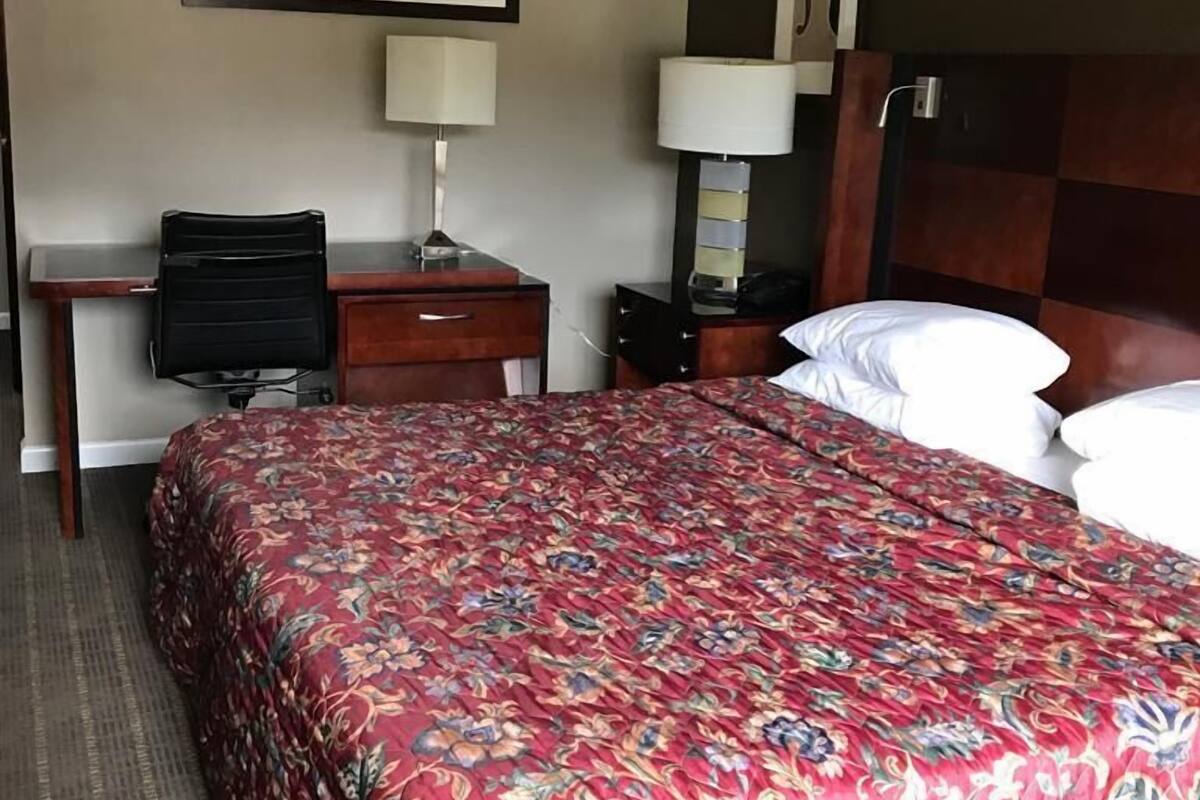 Iron/ironing board, rollaway beds (surcharge), WiFi (free), bed sheets