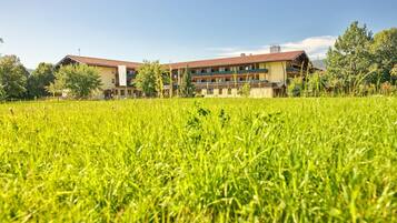 Vista desde la propiedad