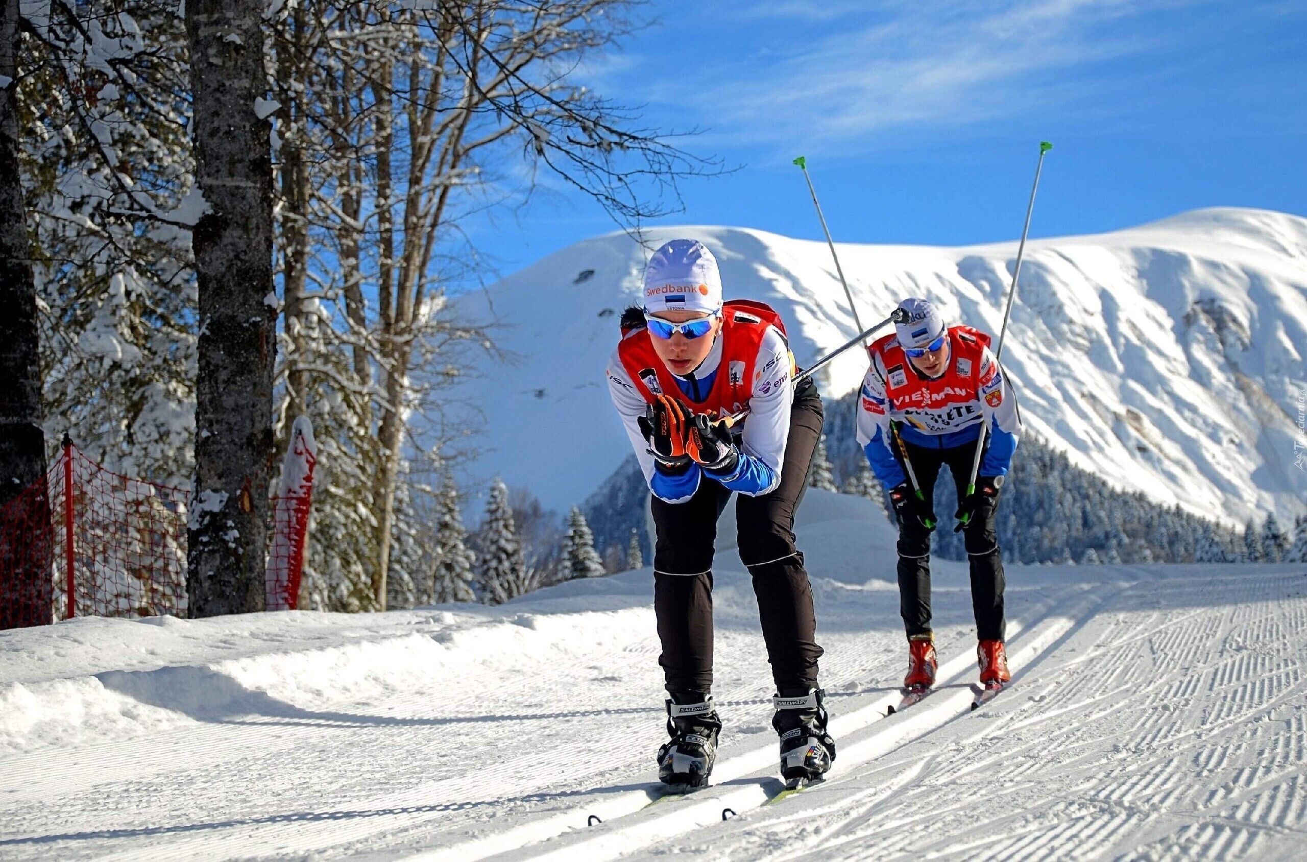 Two skiers on a snowy trail with trees and a clear sky in the background.