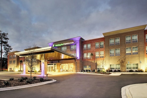 Holiday Inn Express & Suites Charleston NE Mt Pleasant US17 by IHG