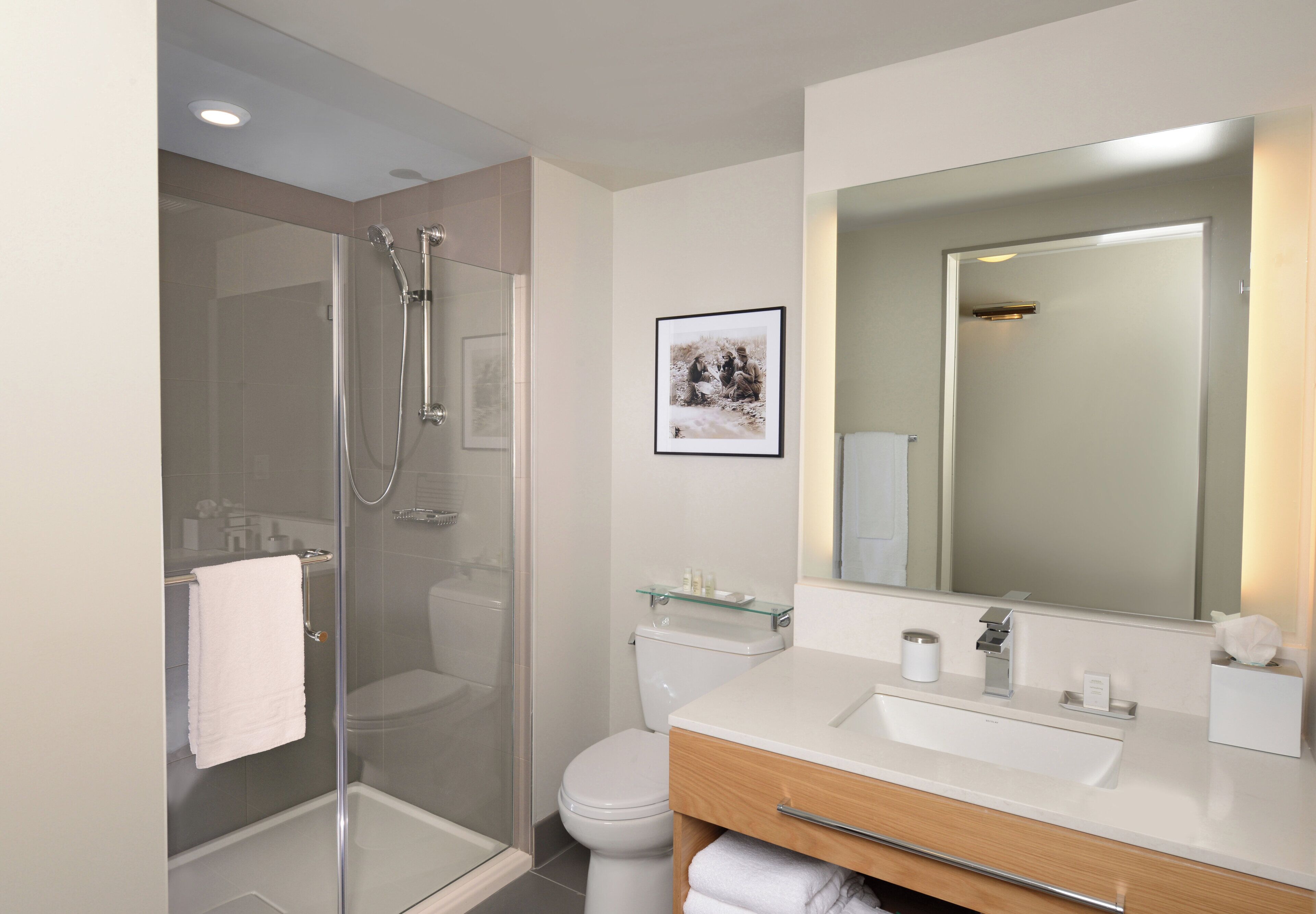A modern bathroom with a glass shower enclosure, a toilet, a sink with a mirror, and a framed picture on the wall.