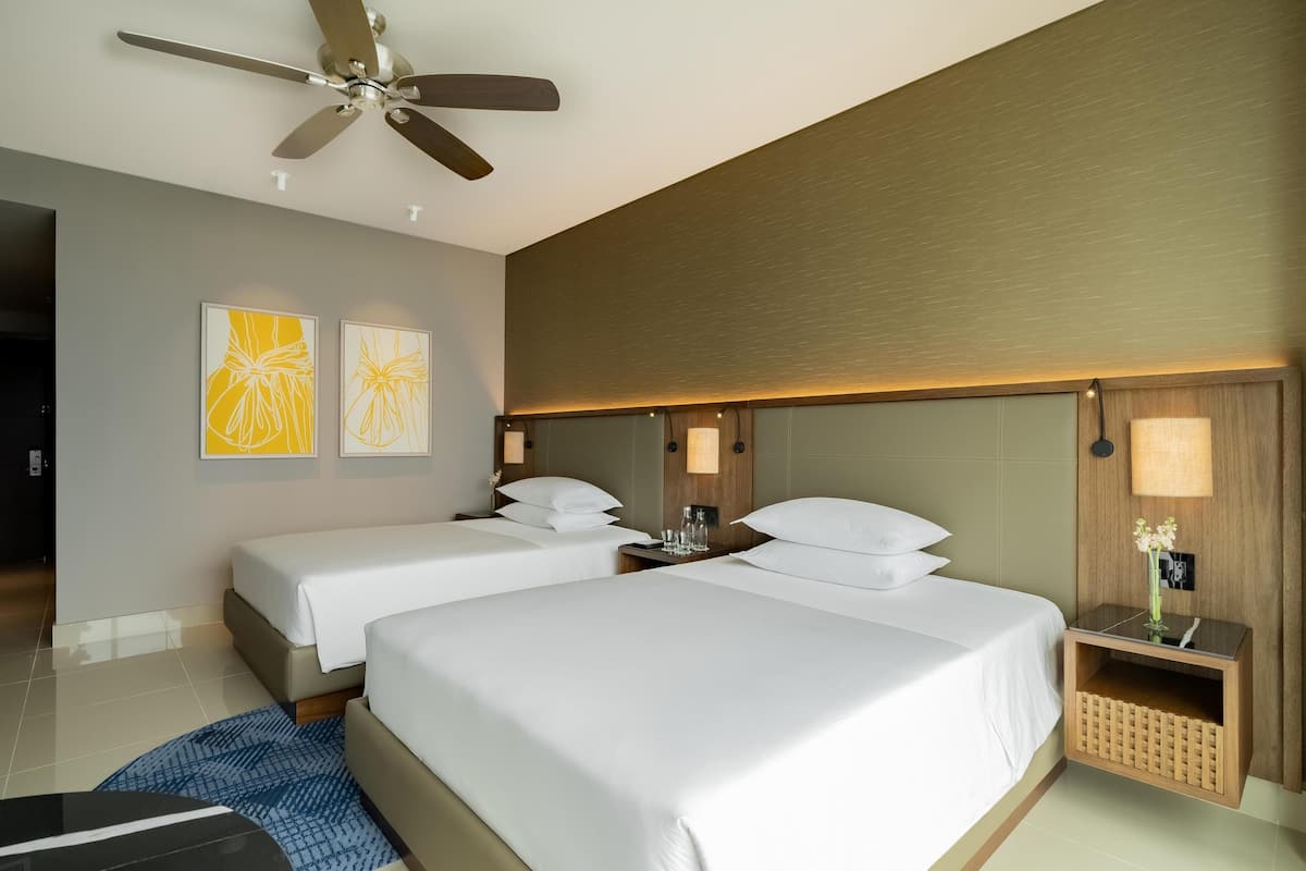 1 chambre, draps en coton égyptien, literie hypoallergénique