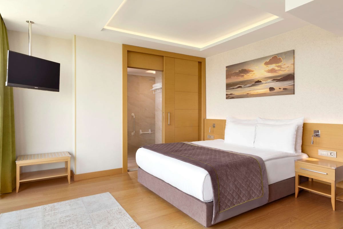 Habitación, 1 cama matrimonial, con acceso para personas discapacitadas, para no fumadores | Artículos del minibar gratis y caja de seguridad en la habitación