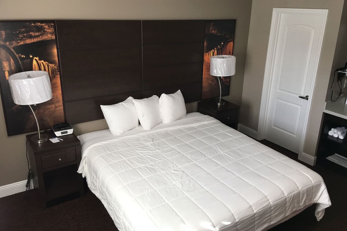 A hotel room with a large bed, two bedside tables with lamps, a door, and a wall-mounted artwork.