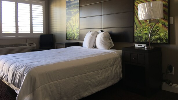 Habitación de hotel con una cama grande, un televisor de pantalla plana, un escritorio con lámpara y dos cuadros en la pared.