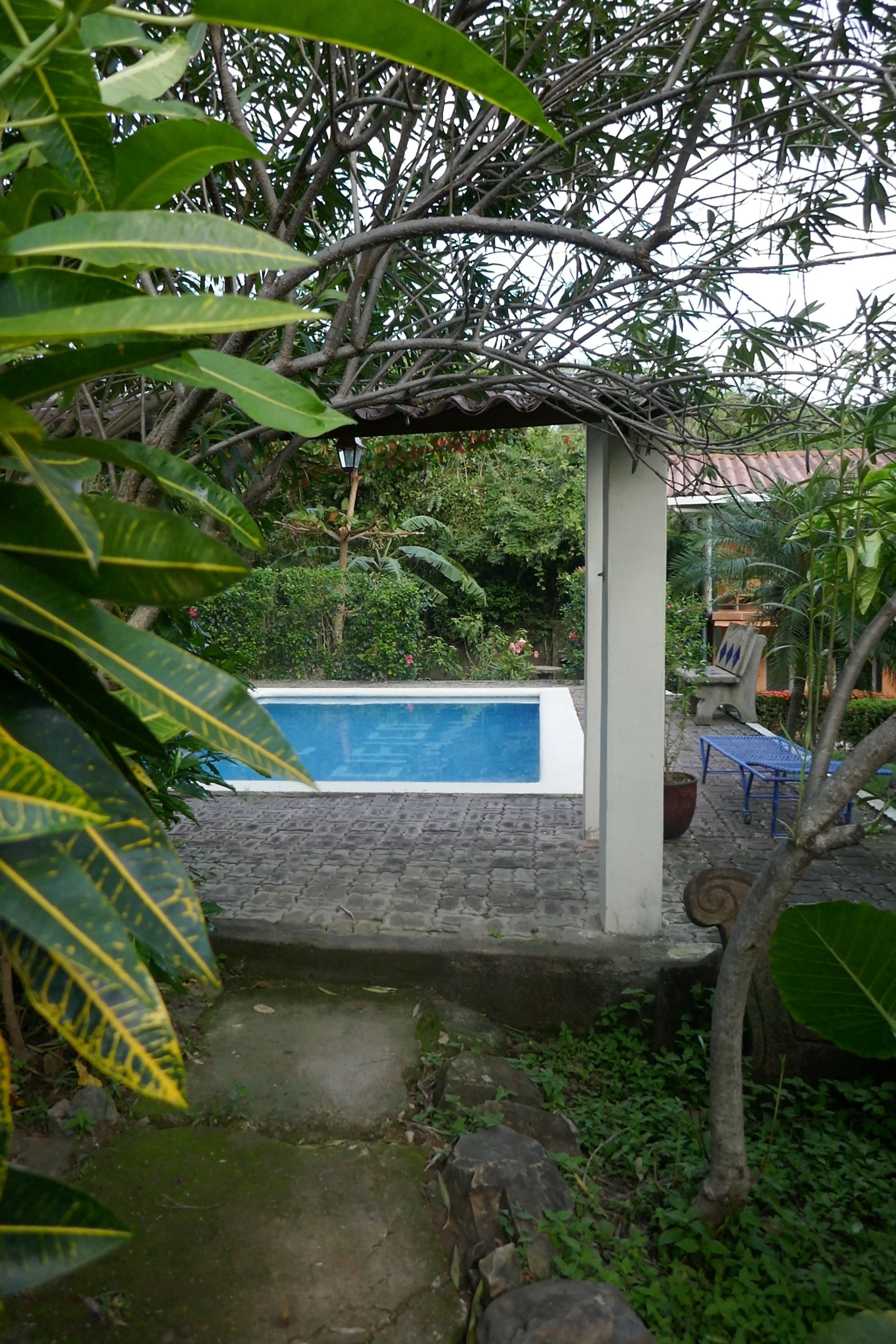 Zona de piscina con un sendero de piedra que lleva a la piscina, rodeada de abundante vegetación y una pérgola.