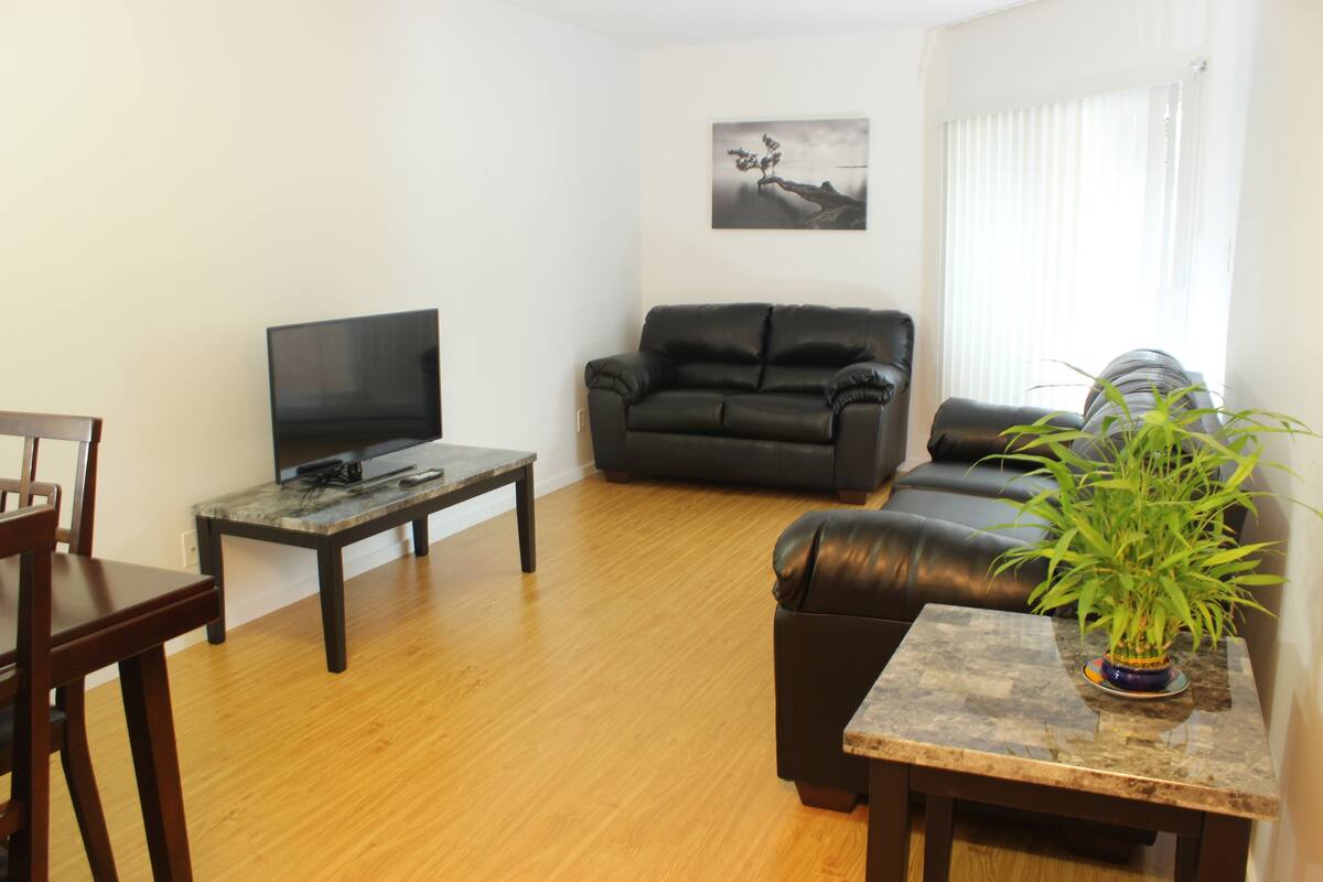Ein Wohnzimmer mit einer Couch, einem Couchtisch, einem Fernseher und einer Topfpflanze.