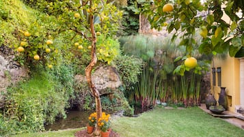 Jardín