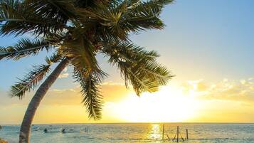 Beach nearby, white sand, fishing