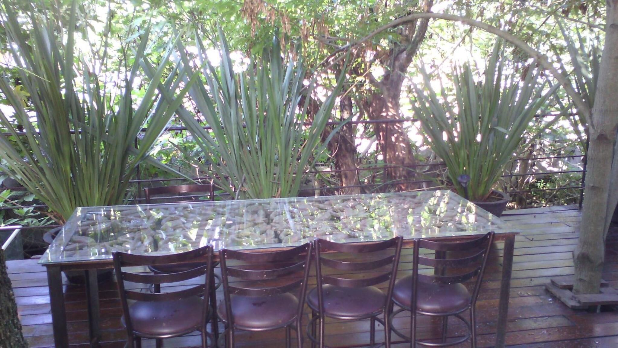 A glass-top table with four chairs, surrounded by potted plants.