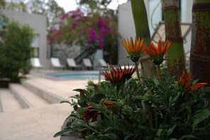 Exterior - Casa Tepoztl án (Tepoztlán)