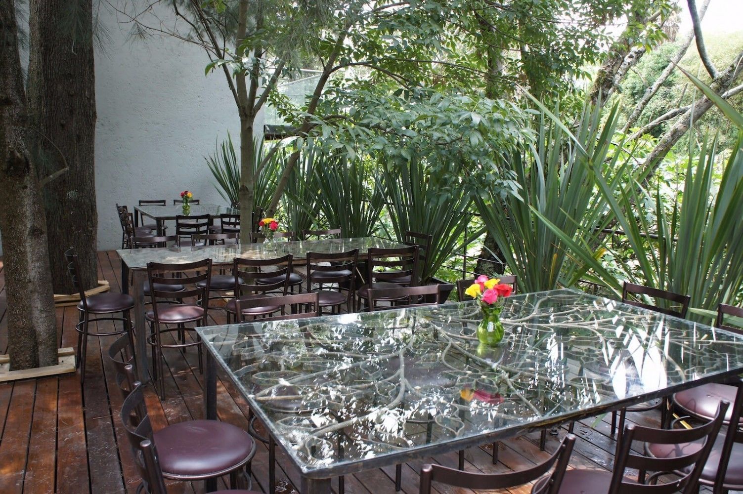Restaurantes