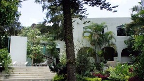 A modern building with a white exterior, surrounded by lush greenery and a well-maintained lawn.