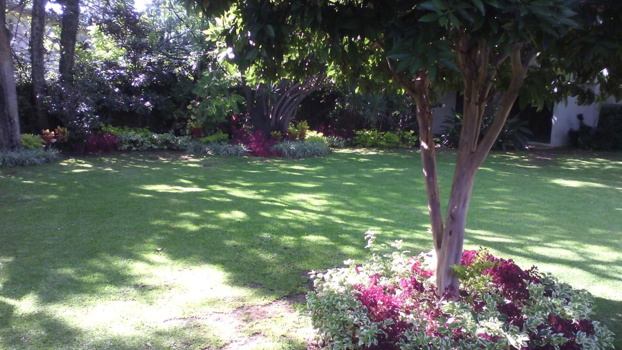 A well-maintained garden with a variety of plants and trees, a lawn, and a clear sky.