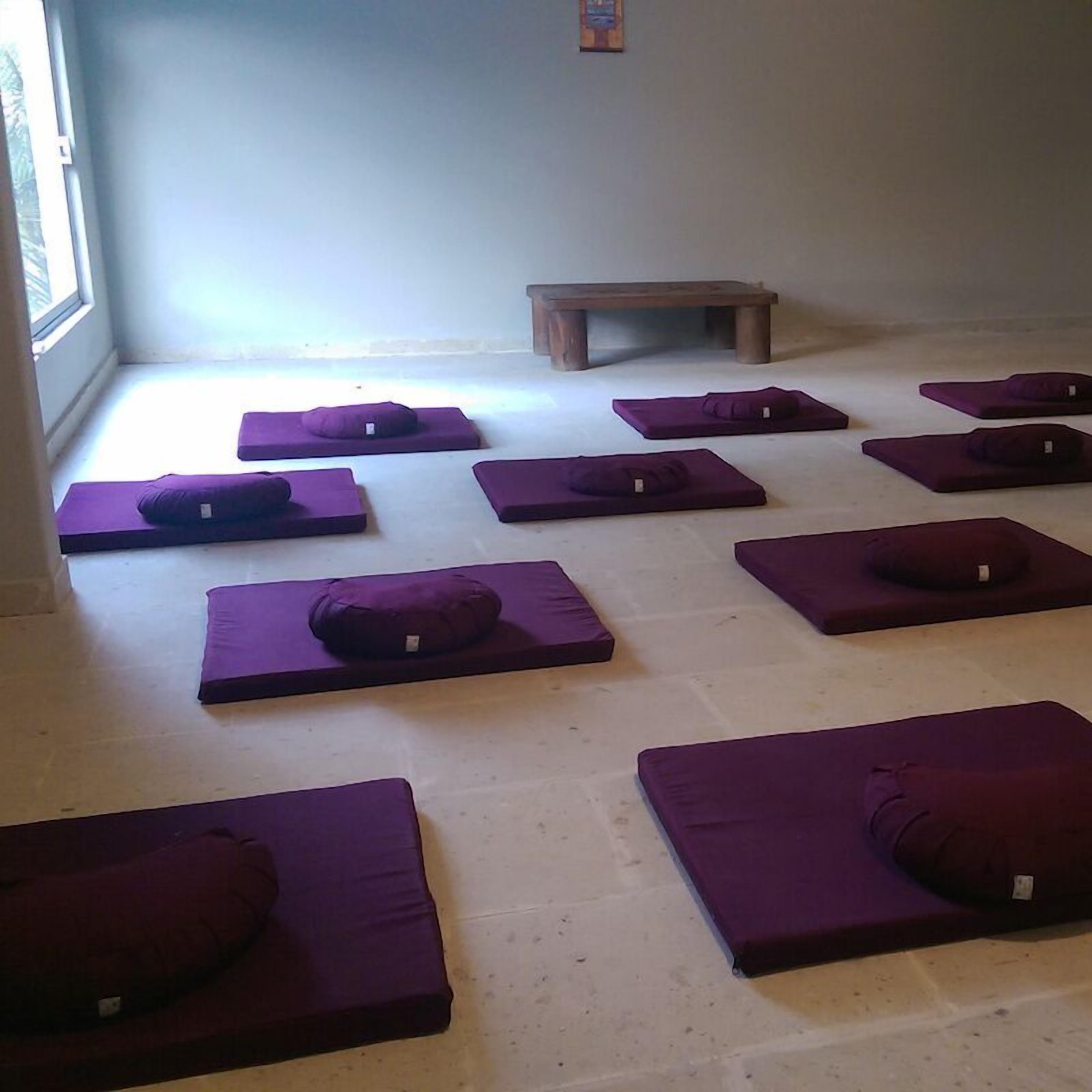A room with multiple purple mats arranged on the floor, a wooden bench, and a window providing natural light.